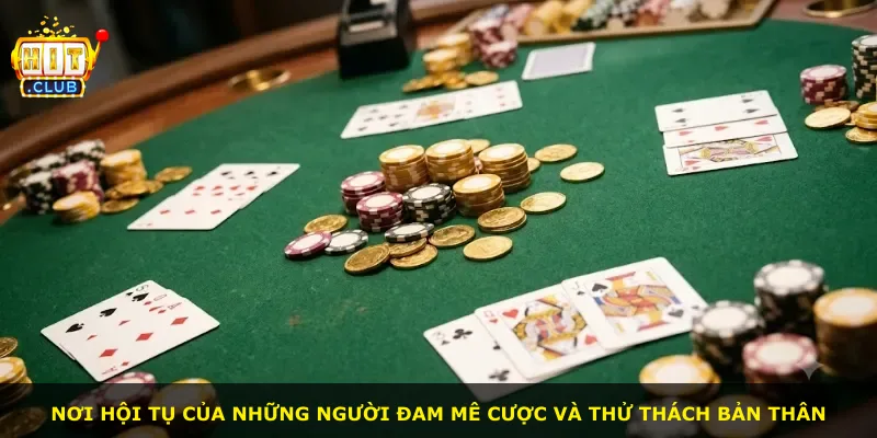 Nơi hội tụ của những người đam mê cược và thử thách bản thân