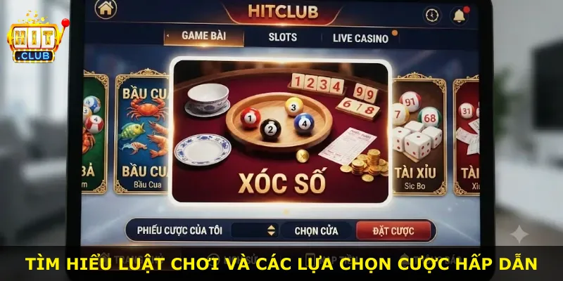 Tìm hiểu luật chơi và các lựa chọn cược hấp dẫn